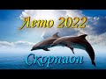 Скорпион Таро прогноз Лето 2022 года.