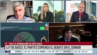 Ley Bases Y Paquete Fiscal: Se Viene El Debate En El Senado, El Análisis De Martín Rodríguez Yerba