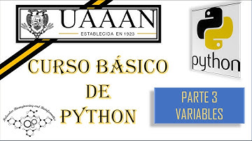 DECLARAR EL AMOR A TU CRUSH, NEL! || DECLARAR VARIABLES EN PYTHON, VERY GOOD!