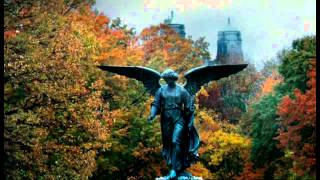 New York Movie Clip - Ghost Town (CZ)