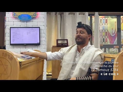 3MN DE TORAH POUR COMMENCER LA JOURNÉE - LE COQ 🐔