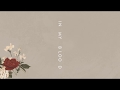 Download Lagu Shawn Mendes In My Blood (Audio)