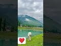 কি কেমন লাগছে #love #song #jannatkashmir