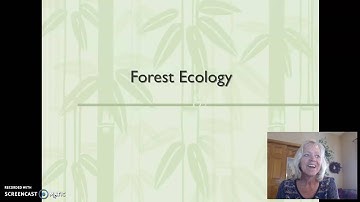 Forest Ecology Part One