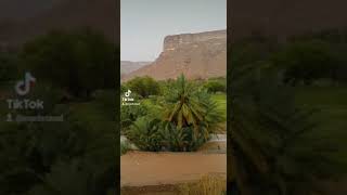 حضرموت وادي رخية