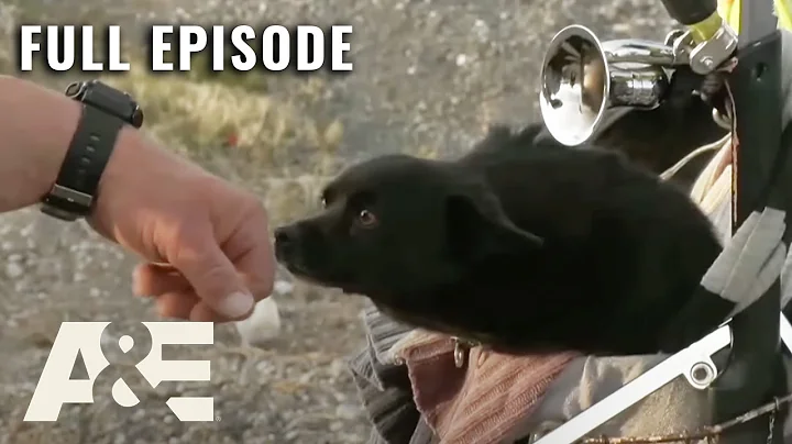 Live PD: Greatest Shifts – Race Against the Clock | Full Episode