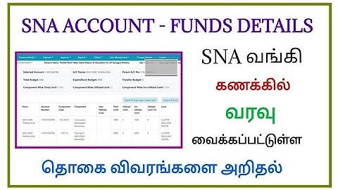 How to check SNA Account Received Funds details in css Application portal?