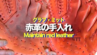 赤革の手入れ Maintain red leather #1069