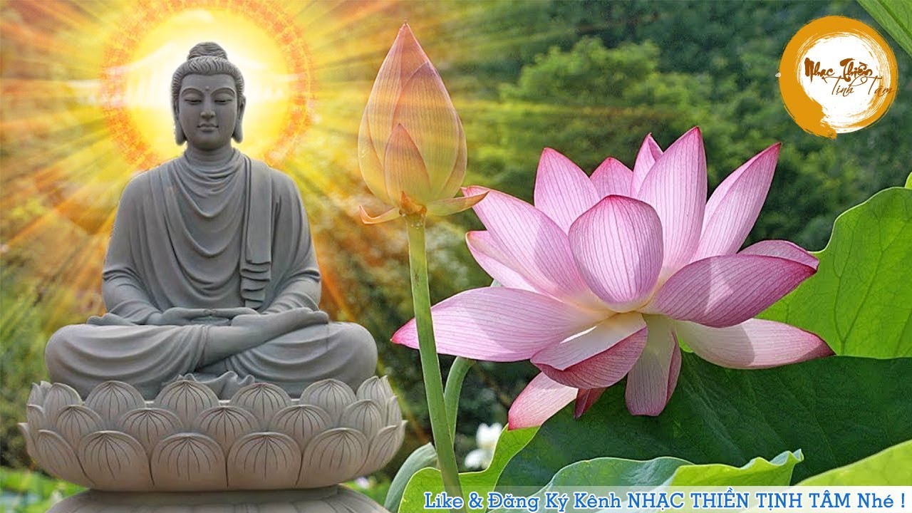 Nhạc Thiền Tịnh Tâm - Nhạc Thiền Phật Giáo Chọn Lọc Thư Giản Mới Nhất -  Youtube