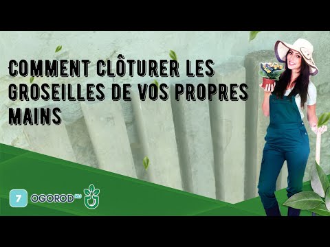 Vidéo: Comment construire une clôture de vos propres mains ?