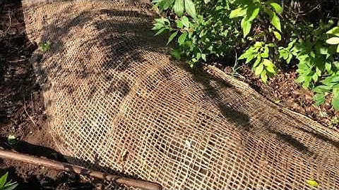 Coir Mesh is a Fibrous Material that is Natural - Bank Stabilization Project - Pre Installation