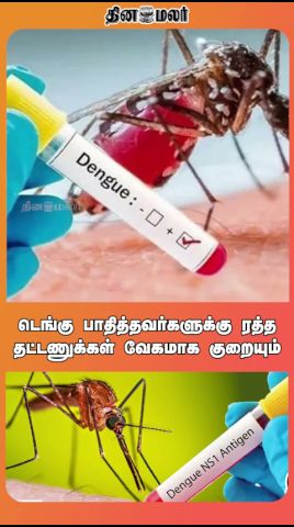டெங்கு பாதித்தவர்களுக்கு ரத்த தட்டணுக்கள் வேகமாக குறையும்