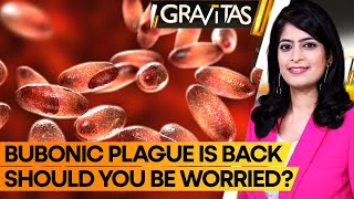 Gravitas: Man dies from Bubonic plague in New Mexico