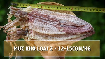 Mực Khô DASAVINA Loại 2 [12-15con/kg] - Đặc sản Cô Tô cao cấp