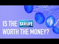 SEA LIFE Aquarium in Grapevine, Texas: Full Tour &amp; Review 2022