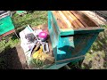 Ловля роев для начинающих роеловов пчеловодов