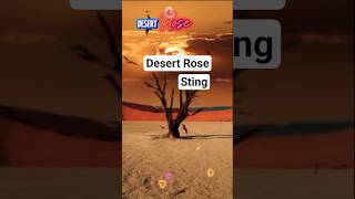 Desert Rose | Sting & Cheb Mami | Cinematic Lyrical Short