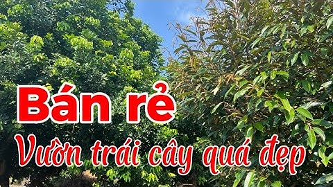Bán đất vườn trái cây rất đẹp, đầy đủ tiện ích vị trí rất tốt tại BRVT.