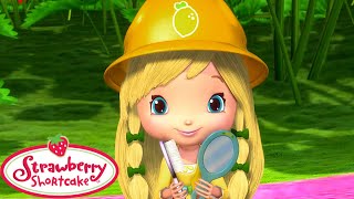 Building a new House!! | Strawberry Shortcake  | Cartoons for Kids