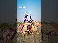 Waasil O Mausool  Mastaan  Khalsa songs  Latest punjabi songs 2023  Guru Gobind Singh Ji songs 