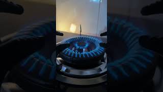 Electric Gas Stove Reality | Hidden Gas Pipeline | The Truth Behind the Spark Cell