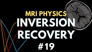 Inversion Recovery Pulse Sequences MRI | STIR and FLAIR | MRI Physics Course #19
