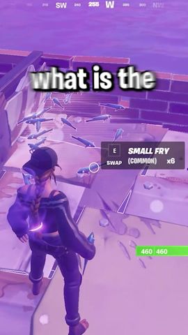 What's the Longest Game in Fortnite History?