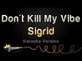 Sigrid  dont kill my vibe karaoke version