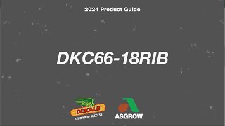 DKC66-18RIB