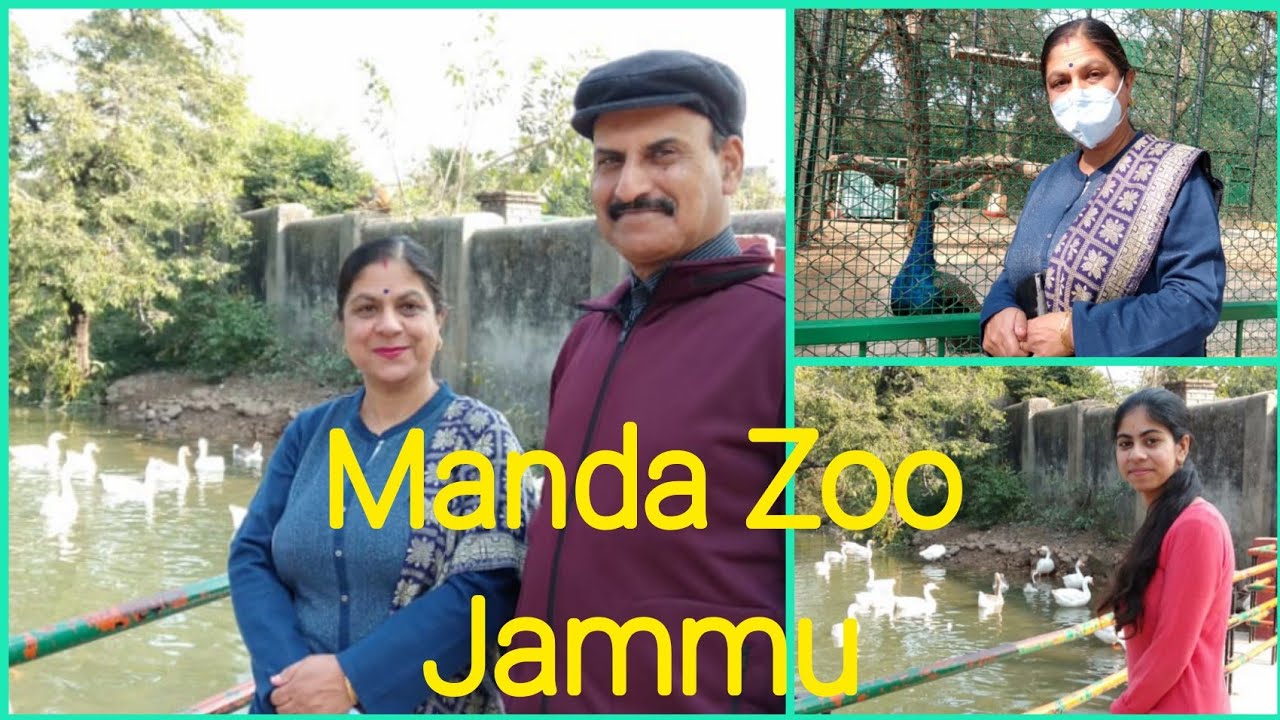 Manda Zoo Jammu Exploring Wildlife YouTube