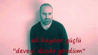 Ali Haydar Güçlü  - Deveyi Düzde Gördüm Resimi