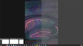 Carla Simulator PyCharm Setup
