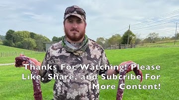 Big Mature Virginia Doe Gets Smoked By a Swhacker Broadhead!