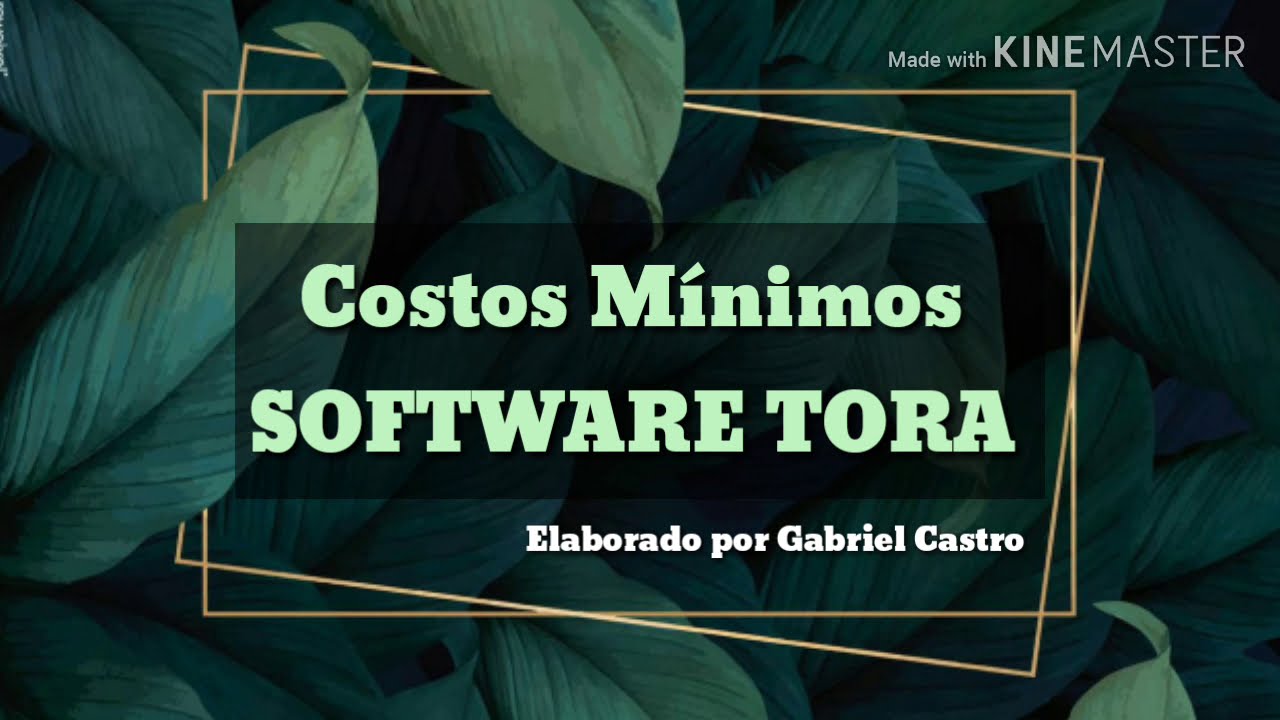 Método de los costos minimos por el software Tora, Programación Lineal