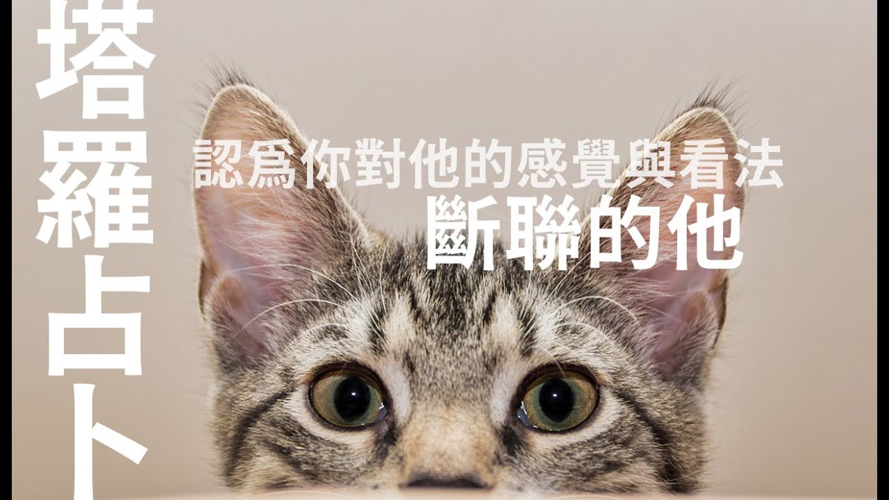 🌜塔羅占卜🌛斷聯的他認為你對他的感覺與斷聯現況的想法 (無時限限制Timeless) 下半部:他如何看待斷聯/未來一個月會不會聯絡你 No Contact 縮圖
