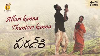 Allari Kanna Thuntari Kanna Paradesi Telugu