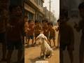 Kids Laughed At HerтАж But Then This Girl Did Something Amazing ЁЯШвтЭдя П Ai Goat Kids Shorts Ytshort Kids Laughed At HerтАж But Then This Girl Did Something Amazing ЁЯШвтЭдя П Ai Goat Kids Shorts Ytshort