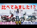 CT125ハンターカブとスーパーカブ C125を比べてみました！足つきインプレ、マフラー音、外観を細く紹介！【バイク女子インプレ】