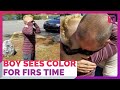 Kid Breaks Down When He Sees Color Correctly For First Time