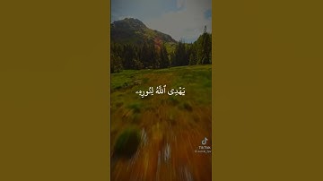 قرآن كريم # 🥰👌بصوت القارئ الشيخ عبد الرحمن مسعد