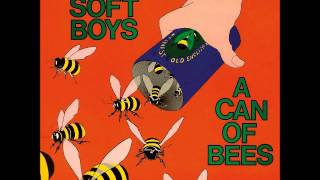 The Soft Boys - Do The Chisel chords