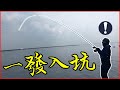 下抽一竿入坑！完全感受磯釣的魅力！【台灣大釣哥 EP13】黑格/黑鯛 ft.虹彩 #釣魚