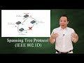 Spanning Tree Protocol (IEEE 802 1D)