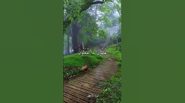 #تلاوه هادئه بصوت محبكم خالد حسن جابر #