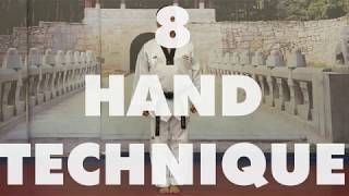 White Belt 8 Hand Technique