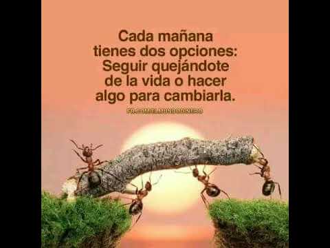Reflexiones Sobre La Vida Frases Motivadoras Para Seguir Adelante Imagenes Bonitas Youtube Reflexiones Sobre La Vida Frases Motivadoras Para Seguir Adelante Imagenes Bonitas Youtube