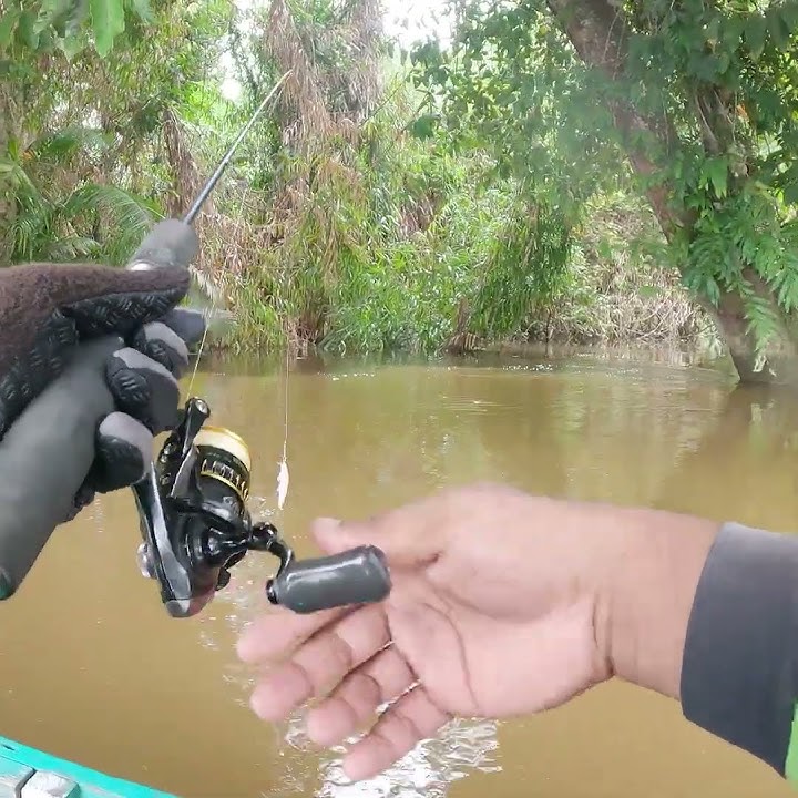 Seconds of being struck by a big fish #fishing #angling