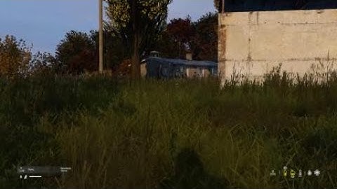 DayZ SVAL kill