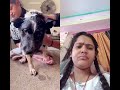 Dog Got Cutest Car gift 🐶🐕🐕🦺🦮🎁 🚗 #viral #sad #happy #cutemoment #doggie #dog #sadpictures