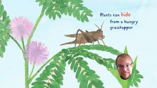 Story Time: Plants Can't Sit Still